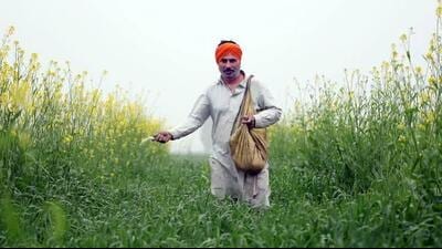 Under the KCC scheme, farmers use 60% of the loan’s maximum credit limit (MCL) to meet production costs and the remaining 40% for fertilisers and agrochemicals. (HT) Under the KCC scheme, farmers use 60% of the loan’s maximum credit limit (MCL) to meet production costs and the remaining 40% for fertilisers and agrochemicals. (HT)