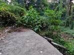 This is the spot where the accused allegedly murdered the victim and attempted to burn the body. 