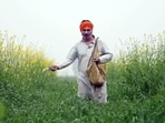 Under the KCC scheme, farmers use 60% of the loan’s maximum credit limit (MCL) to meet production costs and the remaining 40% for fertilisers and agrochemicals. (HT)