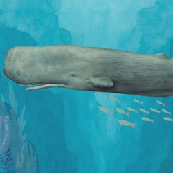 A sperm whale is the only one of the species that can theoretically swallow a person whole, though no whale has ever been known to.