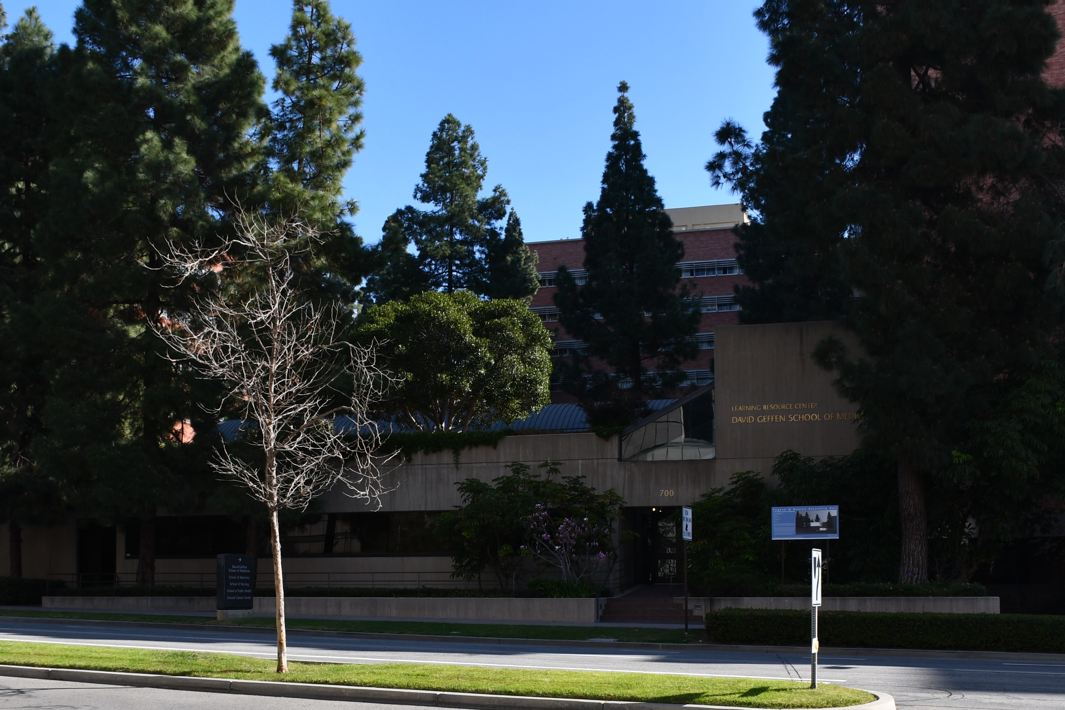Garry Shandling’s estate gave $15.2 million to UCLA’s David Geffen School of Medicine. (Wikimedia Commons)