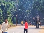An elephant brought for the famous Ramnagar Ramlila went out of control near Panchvati ground in Varanasi on Sunday. (Rajesh Singh/HT)