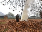 As autumn arrives, large quantities of leaves from gigantic chinar, poplar and willow trees blanket the landscape across the Valley. During rains or snowfall, these leaves often choke drains and increase air pollution when locals burn them for fuel. (HT File)