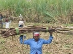 Prices are rising again ahead of festivals amid concerns that El Nino could hurt sugarcane yields in the 2026-27 crop season, which runs from October to September. 