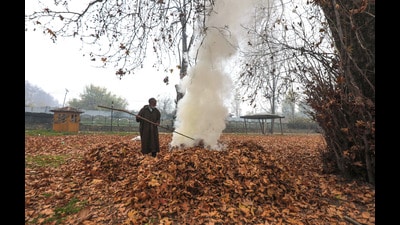 As autumn arrives, large quantities of leaves from gigantic chinar, poplar and willow trees blanket the landscape across the Valley. During rains or snowfall, these leaves often choke drains and increase air pollution when locals burn them for fuel. (HT File) As autumn arrives, large quantities of leaves from gigantic chinar, poplar and willow trees blanket the landscape across the Valley. During rains or snowfall, these leaves often choke drains and increase air pollution when locals burn them for fuel. (HT File)