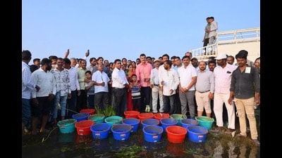 Maharashtra agriculture minister and Indapur MLA Dattatray Bharane was the chief guest at the programme which focused on restoring the reservoir’s aquatic biodiversity. (HT) Maharashtra agriculture minister and Indapur MLA Dattatray Bharane was the chief guest at the programme which focused on restoring the reservoir’s aquatic biodiversity. (HT)