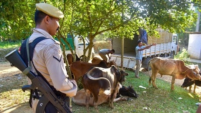 ভারতে অনুপ্রবেশের চেষ্টা রুখে ৩০ জনকে আটকানো হয়েছে বলে দাবি করলেন অসমের মুখ্যমন্ত্রী হিমন্ত বিশ্বশর্মা। (PTI) ভারতে অনুপ্রবেশের চেষ্টা রুখে ৩০ জনকে আটকানো হয়েছে বলে দাবি করলেন অসমের মুখ্যমন্ত্রী হিমন্ত বিশ্বশর্মা। (PTI)