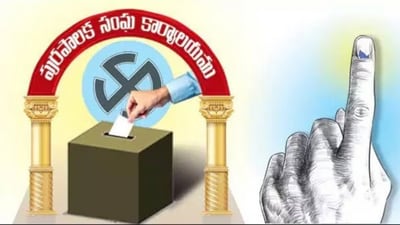 ఏపీ మున్సిపల్ ఎన్నికలు ఏపీ మున్సిపల్ ఎన్నికలు