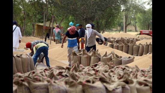 The Punjab State Grains Procurement Corporation (Pungrain), a subsidiary of the state’s food and civil supplies department, has asked godown owners, who previously leased their facilities for storing foodgrains under the Private Entrepreneurs Godown (PEG) scheme, to rework their financial terms. (HT File)