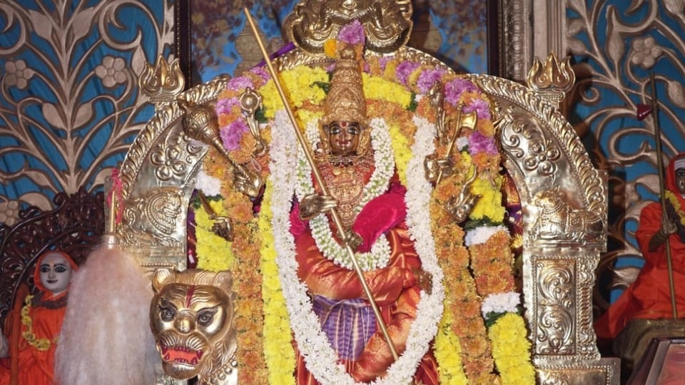 <p>భక్తులకు ఎలాంటి అసౌకర్యం కలగకుండా దుర్గగుడి ఈవో, పాలకమండలి మరియు జిల్లా యంత్రాంగం విస్తృత ఏర్పాట్లు చేశాయి. తాగునీరు, మజ్జిగ, ప్రసాదాల వితరణతో పాటు చిన్న పిల్లలు, వృద్ధుల కోసం ప్రత్యేక క్యూలైన్లను అందుబాటులోకి తెచ్చారు. పోలీసులు భారీ భద్రతను పర్యవేక్షిస్తున్నారు.</p>