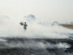 Madhya Pradesh recorded 187 and 262 incidents of farm fire in the same period in 2025 and 2024, respectively, showing an increasing trend of stubble burning in the state.
