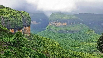According to the state forest department, the western ghats’ forest belt in Maharashtra extends across Kolhapur, Sangli, Satara, Pune, Raigad and Thane districts. (HT FILE) According to the state forest department, the western ghats’ forest belt in Maharashtra extends across Kolhapur, Sangli, Satara, Pune, Raigad and Thane districts. (HT FILE)