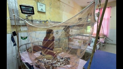 Patients getting medical treatment in Dengue ward in civil hospital in Ludhiana on Monday. (Gurpreet Singh/HT)