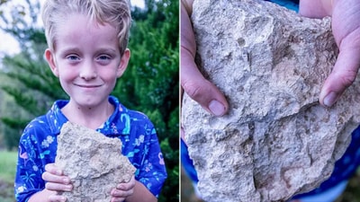 Six-year-old Leo Youngdahl made a rare fossil discovery. (Nebraska Game and Parks Commission) Six-year-old Leo Youngdahl made a rare fossil discovery. (Nebraska Game and Parks Commission)