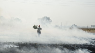 Madhya Pradesh recorded 187 and 262 incidents of farm fire in the same period in 2025 and 2024, respectively, showing an increasing trend of stubble burning in the state. (PTI) Madhya Pradesh recorded 187 and 262 incidents of farm fire in the same period in 2025 and 2024, respectively, showing an increasing trend of stubble burning in the state. (PTI)