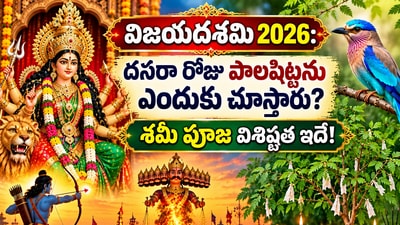 విజయదశమి 2026: దసరా రోజు పాలపిట్టను ఎందుకు చూస్తారు? శమీ పూజ విశిష్టత ఇదే! (AI)