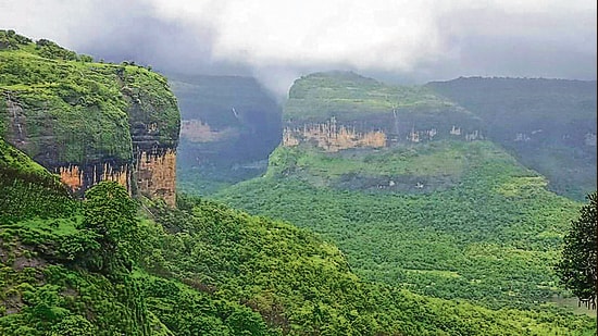 According to the state forest department, the western ghats’ forest belt in Maharashtra extends across Kolhapur, Sangli, Satara, Pune, Raigad and Thane districts. (HT FILE)