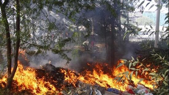 The move follows directions issued by the MCG additional commissioner (headquarters) on October 15, asking all six zones to establish a mechanism for immediate action on complaints of open burning. (HT Archive)