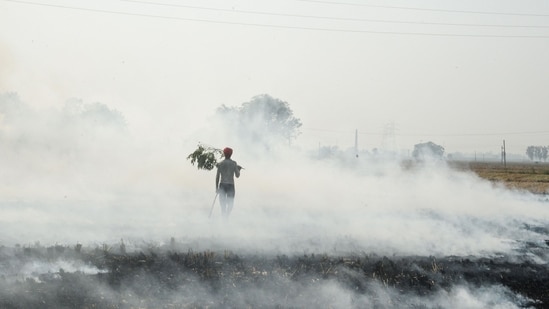 Madhya Pradesh recorded 187 and 262 incidents of farm fire in the same period in 2025 and 2024, respectively, showing an increasing trend of stubble burning in the state.