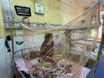 Patients getting medical treatment in Dengue ward in civil hospital in Ludhiana on Monday. (Gurpreet Singh/HT)