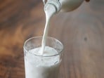 శాకాహారుల్లో ప్రోటీన్ లోపానికి పాల ఉత్పత్తులతో చెక్.. 5 కీలక కారణాలివే