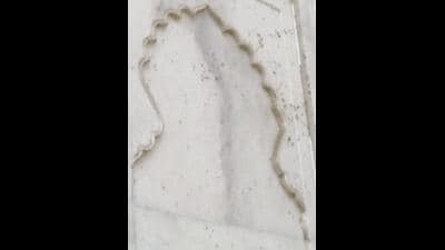 Green marks on inlay work on northern wall of Taj Mahal facing river Yamuna. (Sourced) Green marks on inlay work on northern wall of Taj Mahal facing river Yamuna. (Sourced)