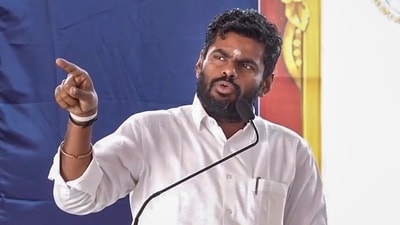 K Annamalai (in picture) said the government must answer the questions raised by the CJP. (ANI) K Annamalai (in picture) said the government must answer the questions raised by the CJP. (ANI)