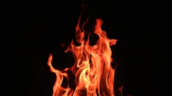 Wildfire near Berkeley Hills.(Representative)