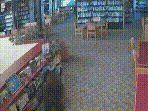 California: Black Bear Enters Library Before Opening, Raids Staff Snacks | #shorts