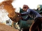he BKU (Charuni) president Gurnam Singh Charuni objects to the use of past three years’ average yields as the basis for current procurement limits and demands a 10% relaxation along with a simpler process. (HT File)