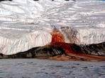 Iron-rich red brine flows from the end of the Taylor Glacier at Blood Falls.