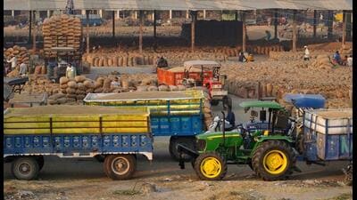 The biofuel blending debate has been overwhelmingly dominated over its alleged adverse effects on cars so far. The higher order supply shock on the larger food-feed-fuel dynamics in the food economy are only being realised now. (Reuters)