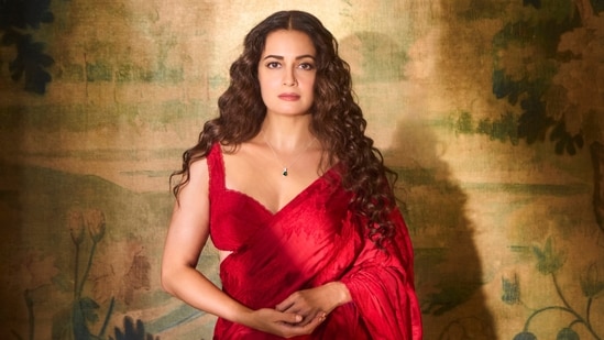Dia Mirza: I was sidelined from feature films after my box-office failures