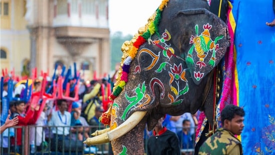 he Vijayadashami procession began in Mysuru on Wednesday, concluding 11 days of Dussehra celebrations.