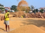 A labourer works during the procurement season of paddy at the Grain Market near Sirhind Road, in Patiala. (ANI)