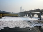 A senior government official said preparations for the anti-froth drive ahead of Chhath puja had begun. (HT photo)
