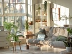 Sustainable living