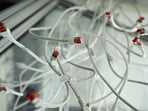 Unplugged LAN network cables at a computer server, as cyber agencies warn that websites may be taken offline while PHP prepared a critical fix.