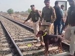 According to the Pimpri-Chinchwad police, work was undertaken in a pit/basement without the requisite permission from the Directorate of Industrial Safety and Health. 