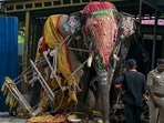 Shivamogga: Somanna, the elephant that was carrying the silver howdah bearing the idol of Goddess Chamundeshwari. (PTI)
