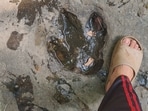 Thai tourist Pichai Prathetsena shared a picture of the dinosaur footprints on Facebook. 