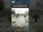 Golf Ball-Sized Hail Batters Arizona in Rare Storm | Hindustan Times