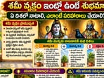 శమీ వృక్షం ఇంట్లో ఉంటే శుభమా? ఏ దిశలో నాటాలి, ఎలాంటి పరిహారాలు చేయాలి?(AI)