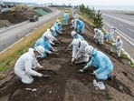 Workers handle soil and materials cleanup to manage and reuse soil removed during decontamination efforts.