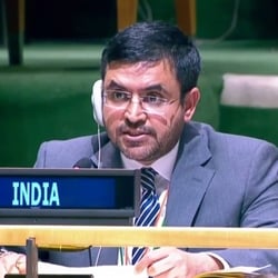 Raghoo Puri, India's First Secretary at the Permanent Mission of India to the UN, expressed “serious concern” over the report.