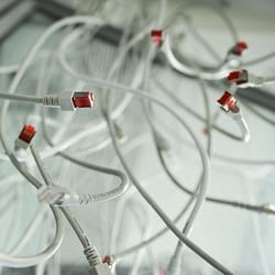 Unplugged LAN network cables at a computer server, as cyber agencies warn that websites may be taken offline while PHP prepared a critical fix.