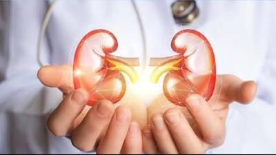 Investigators alleged that Devi herself received ₹2 lakh for donating a kidney before becoming involved in the racket. (HT File) Investigators alleged that Devi herself received ₹2 lakh for donating a kidney before becoming involved in the racket. (HT File)
