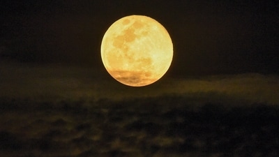 A full moon rises above Singapore on November 16, 2024. (Photo by Roslan RAHMAN / AFP) (AFP) A full moon rises above Singapore on November 16, 2024. (Photo by Roslan RAHMAN / AFP) (AFP)