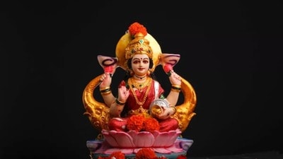 কোজাগরী লক্ষ্মীপুজো ২০২৬ র সময় পূর্ণিমা কবে পড়ছে! পঞ্জিকামতে তিথি দেখে নিন। (ছবিটি প্রতীকী)