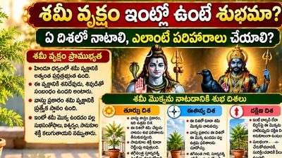 శమీ వృక్షం ఇంట్లో ఉంటే శుభమా? ఏ దిశలో నాటాలి, ఎలాంటి పరిహారాలు చేయాలి? (AI) శమీ వృక్షం ఇంట్లో ఉంటే శుభమా? ఏ దిశలో నాటాలి, ఎలాంటి పరిహారాలు చేయాలి? (AI)